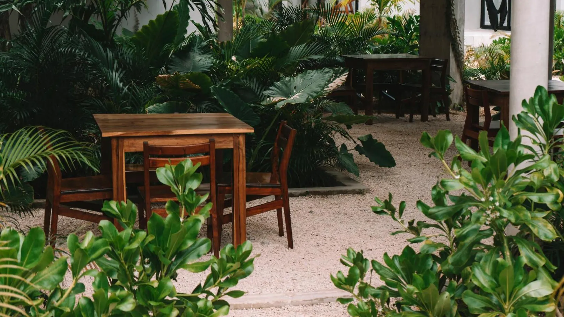 Seremonia Selva By Dream Vacay Tulum 0*,  Mexique